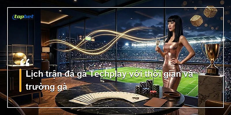 Lịch trận đá gà Techplay với thời gian và trường gà